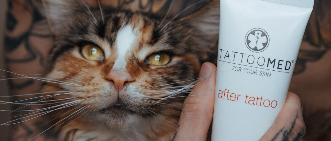 Tattoo-Influencer » Die Stars der Tattooszene ✓