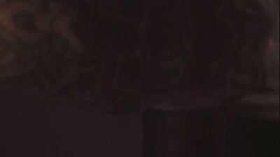 TattooMed Brand Video - Trusted by Artists
